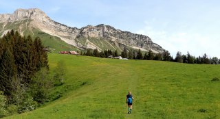 Araclod, point culminant du Massif des Bauges. 2217 m